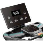 Беговая дорожка Gymmaster GT8