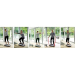 Универсальный вибротренажер Casada PowerBoard 2.1 (ПауэрБорд 2.1)