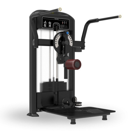 Мультихип Insight Fitness TF32