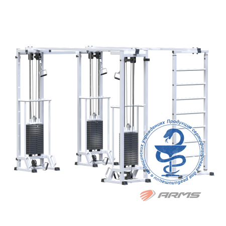 ar087.3х2200 биотонус-3+шведская стенка (стек 3х75кг) AR087.3х2200 Биотонус-3+шведская стенка (стек 3х75кг)