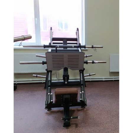 Жим ногами под углом 45 градусов Insight Fitness TM91