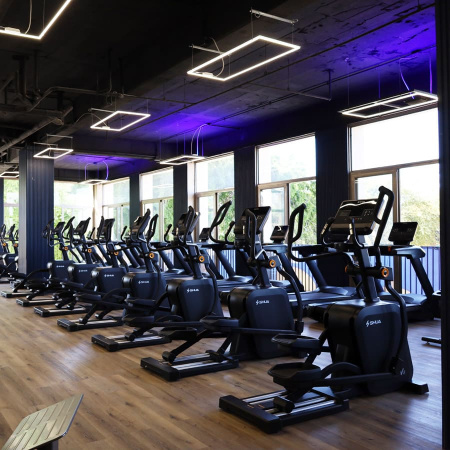 Эллиптический тренажер SHUA SH-E800