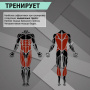 Скамья анатомическая HL006