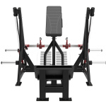 Тяга на спину стоя Gymmaster MP-8170