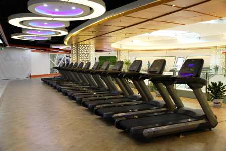 Беговая дорожка SHUA SH-5918