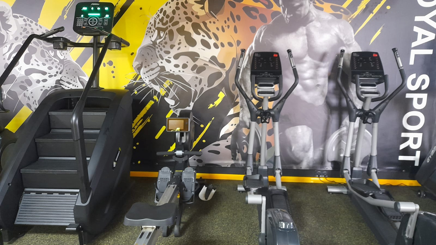 Royal Gym Мелитополь Royal Gym Мелитополь