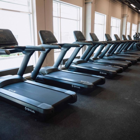 Беговая дорожка SHUA SH-T860