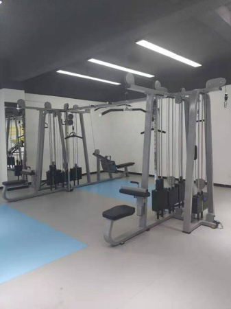 Мультистанция 8-ми позиционная Insight Fitness TB64