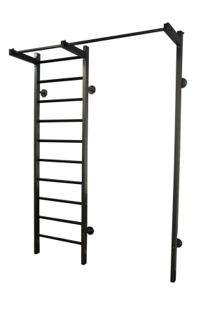 Шведская стенка RS-T-110