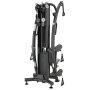 Мультистанция Gymmaster TF6005