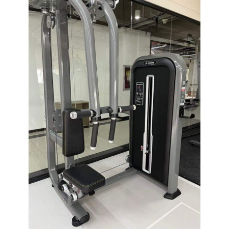 Пэк-дэк Insight Fitness TY04