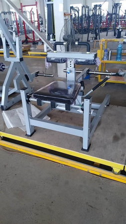 Голень сидя Insight Fitness TM23